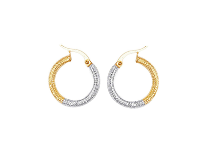 2 Tone Plated | Fashion Earrings